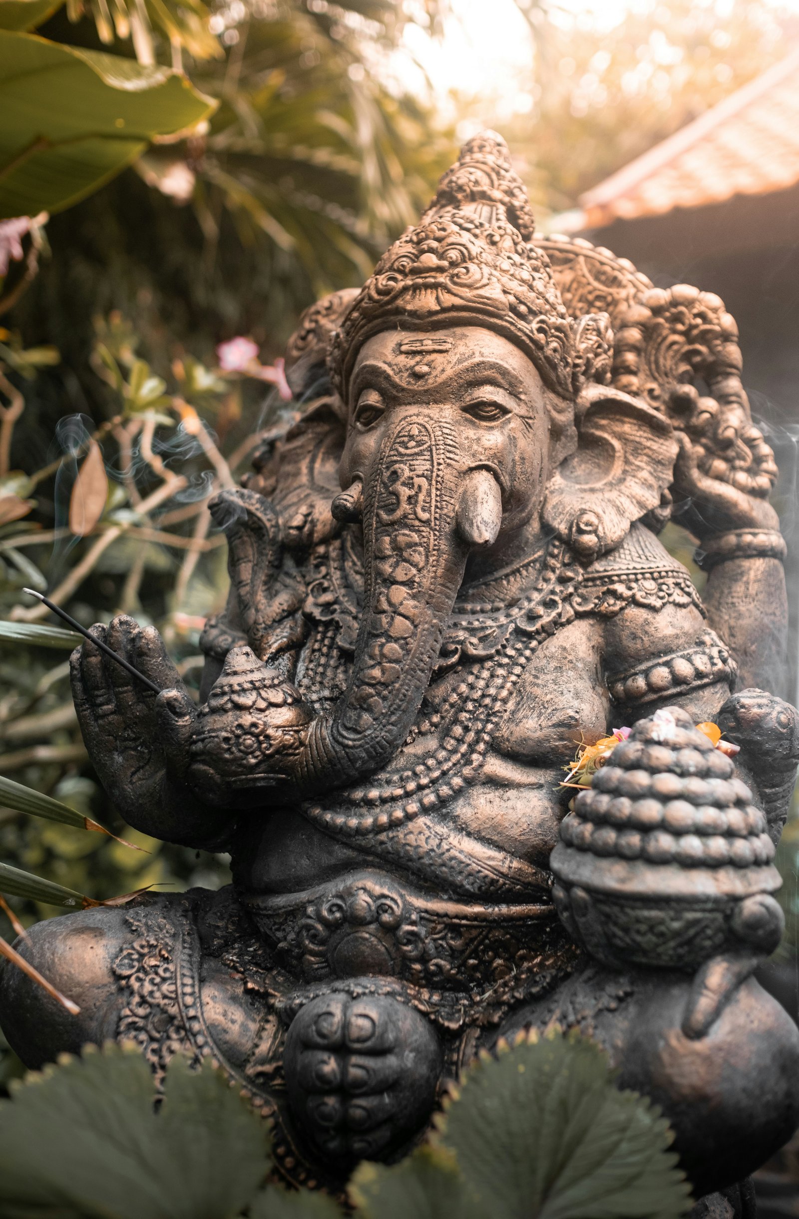 Dharmadhikari